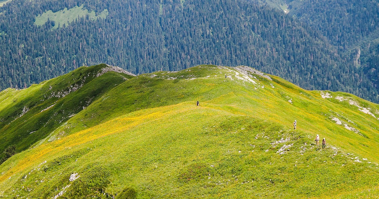 Фото пицунда абхазия 2022 год